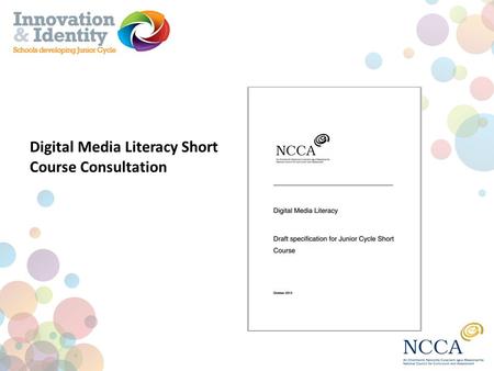 Digital Media Literacy Short Course Consultation.