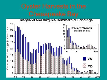 Oyster Harvests in the Chesapeake Bay. A River And an Ocean What Is an Estuary? A meeting place between: