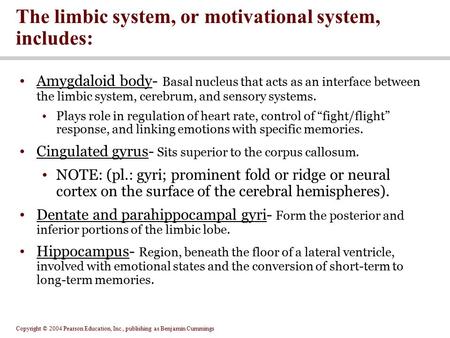 The limbic system, or motivational system, includes: