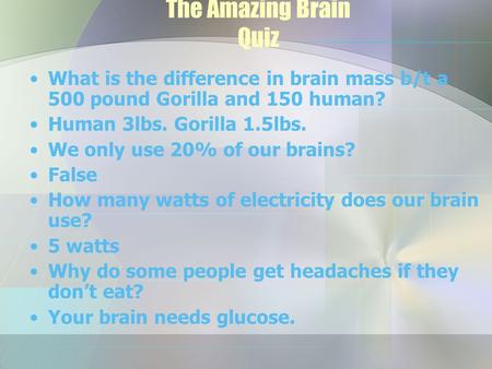 The Amazing Brain Quiz What is the difference in brain mass b/t a 500 pound Gorilla and 150 human? Human 3lbs. Gorilla 1.5lbs. We only use 20% of our brains?