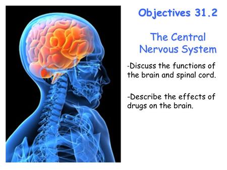 Lesson Overview Lesson Overview The Central Nervous System Objectives 31.2 The Central Nervous System - Discuss the functions of the brain and spinal cord.
