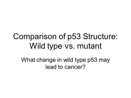 Comparison of p53 Structure: Wild type vs. mutant What change in wild type p53 may lead to cancer?