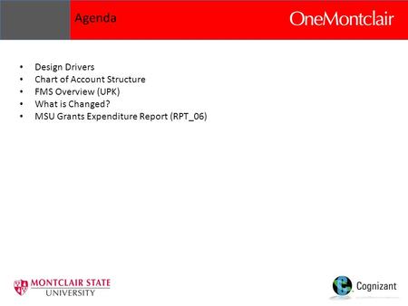 Agenda Design Drivers Chart of Account Structure FMS Overview (UPK) What is Changed? MSU Grants Expenditure Report (RPT_06)