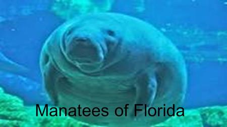 Manatees of Florida. Standard: MAFS.912.S-ID.1.1: Represent data with plots on the real number line (dot plots, histograms, and box plots). MAFS.912.S-ID.1.3: