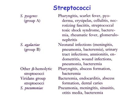 Streptococci. Morphology and Identification Gram-positive cocci arranged in chains. Most group A, B, and C strains produce capsules. Most strains grow.