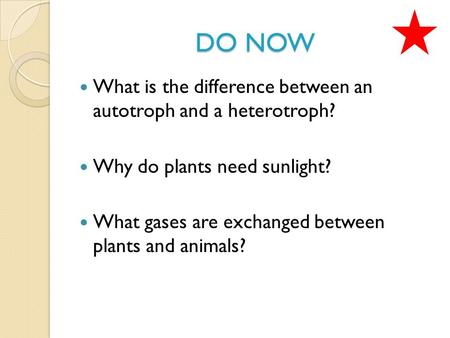 DO NOW What is the difference between an autotroph and a heterotroph? Why do plants need sunlight? What gases are exchanged between plants and animals?