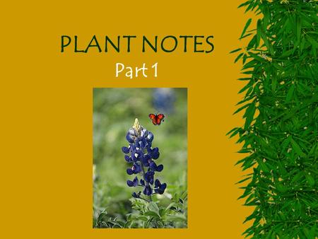PLANT NOTES Part 1 Plant Diversity  Plants are members of the Kingdom ______.  They are classified as eukaryotic organisms that have cell walls made.