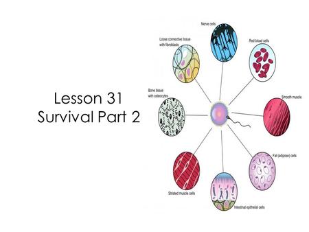 Lesson 31 Survival Part 2. In our last lesson we learned that some living things are unicellular and some are multicellular.