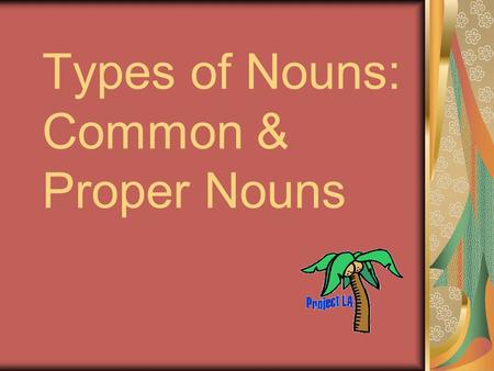 Types of Nouns: Common & Proper Nouns. Common Nouns Common Nouns are any person, place, or thing. Common nouns are not capitalized. city policeman newspaper.