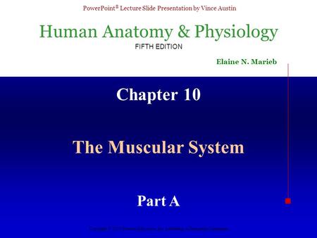 Chapter 10 The Muscular System Part A.
