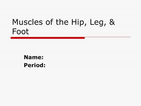 Muscles of the Hip, Leg, & Foot Name: Period:. Hip  Gluteus Maximus  Gluteus Medius.
