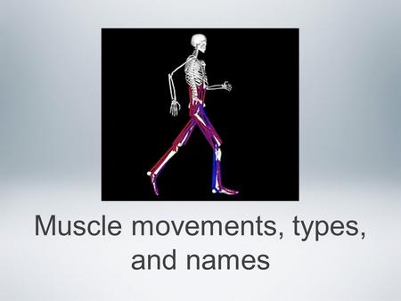 Muscle movements, types, and names