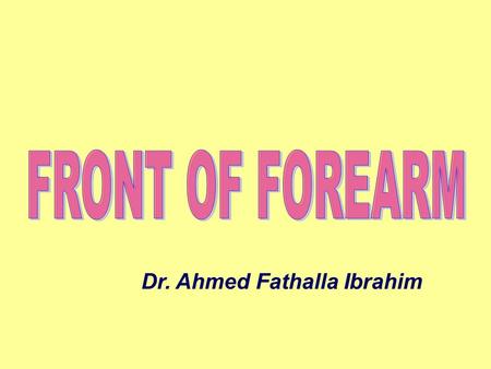 FRONT OF FOREARM Dr. Ahmed Fathalla Ibrahim.