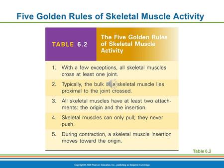 Copyright © 2009 Pearson Education, Inc., publishing as Benjamin Cummings Five Golden Rules of Skeletal Muscle Activity Table 6.2.