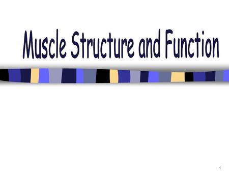 1. 2 Types of Muscle The human body is comprised of 324 muscles Muscle makes up 30-35% (in women) and 42-47% (in men) of body mass. Three types of muscle: