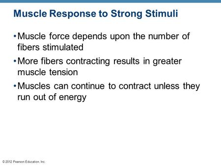 © 2012 Pearson Education, Inc. Muscle Response to Strong Stimuli Muscle force depends upon the number of fibers stimulated More fibers contracting results.