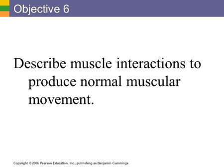 Copyright © 2006 Pearson Education, Inc., publishing as Benjamin Cummings Objective 6 Describe muscle interactions to produce normal muscular movement.