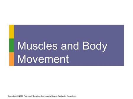 Copyright © 2006 Pearson Education, Inc., publishing as Benjamin Cummings Muscles and Body Movement.