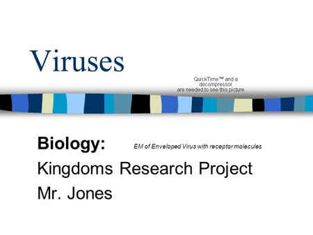 Viruses Biology: Kingdoms Research Project Mr. Jones EM of Enveloped Virus with receptor molecules.