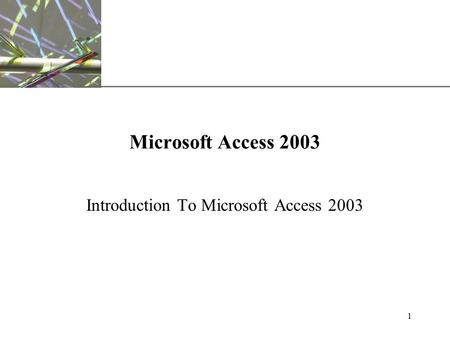 XP 1 Microsoft Access 2003 Introduction To Microsoft Access 2003.