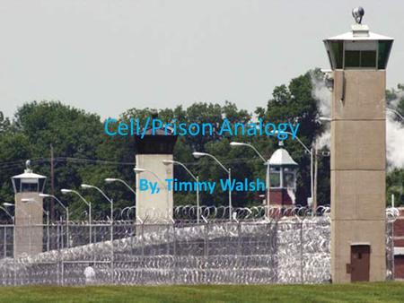 Cell/Prison Analogy By, Timmy Walsh.
