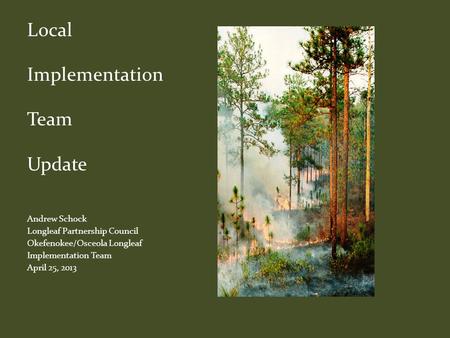 Local Implementation Team Update Andrew Schock Longleaf Partnership Council Okefenokee/Osceola Longleaf Implementation Team April 25, 2013.