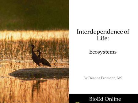 BioEd Online Interdependence of Life: Ecosystems By Deanne Erdmann, MS BioEd Online.