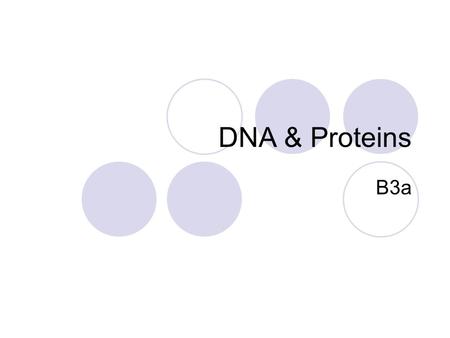 DNA & Proteins B3a.