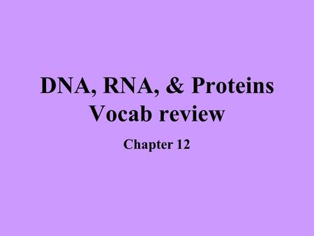 DNA, RNA, & Proteins Vocab review Chapter 12. Main enzyme involved in linking nucleotides into DNA molecules during replication DNA polymerase Another.