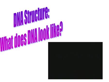Watson and Crick Watson and Crick studied the work of others to determine the structure of DNA Figured that it is a “Double Helix”: –Twisted ladder.