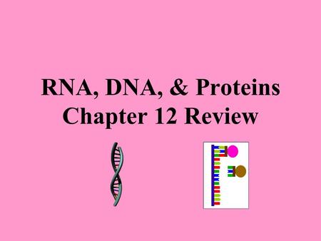 RNA, DNA, & Proteins Chapter 12 Review. Main enzyme involved in linking nucleotides into DNA molecules during replication DNA polymerase Another name.