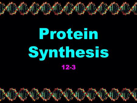 Protein Synthesis 12-3.