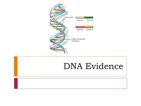DNA Evidence. You need to know  What is DNA.  What is the purpose of DNA.  Where is DNA located in the cell.  What are some sources of DNA at a crime.