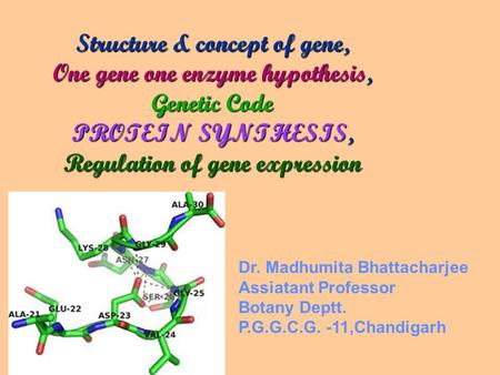 Structure & concept of gene, One gene one enzyme hypothesis, Genetic Code PROTEIN SYNTHESIS, Regulation of gene expression Dr. Madhumita Bhattacharjee.