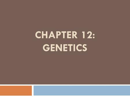 CHAPTER 12: GENETICS.