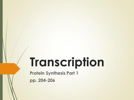 Transcription Protein Synthesis Part 1 pp. 204-206.