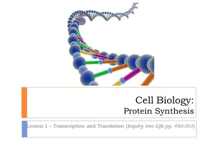 Cell Biology: Protein Synthesis Lesson 1 – Transcription and Translation ( Inquiry into Life pg. 493-501 )