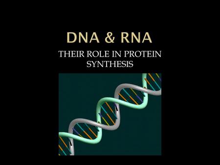 THEIR ROLE IN PROTEIN SYNTHESIS