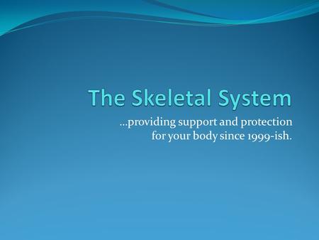 …providing support and protection for your body since 1999-ish.