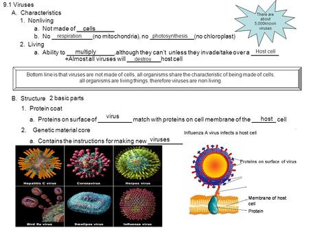 9.1 Viruses A. Characteristics 1. Nonliving a. Not made of ___________ b. No ____________(no mitochondria), no _____________(no chloroplast) 2. Living.
