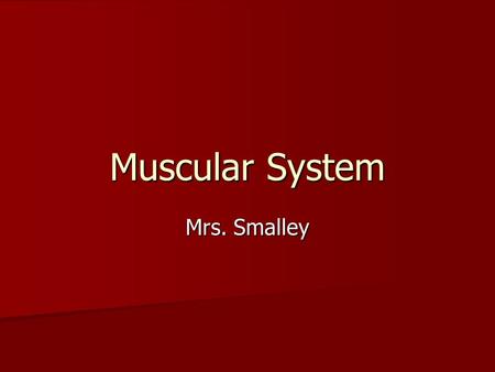 Muscular System Mrs. Smalley. Function of the Muscular System The muscular system enables movement of your body and internal organs. The muscular system.