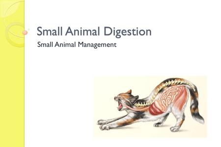 Small Animal Digestion Small Animal Management. Today we will Define digestion List and describe the parts and functions of digestive organs Demonstrate.