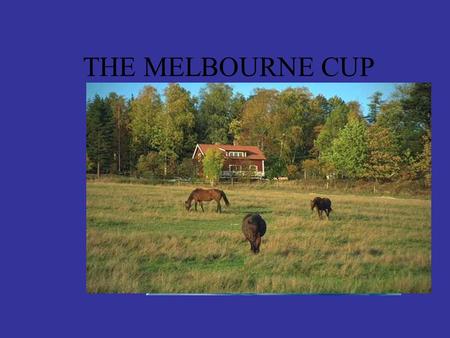 THE MELBOURNE CUP At the racecourse! Since 1861 people have gathered at Flemington Racetrack on the first Tuesday in November to watch the Melbourne.