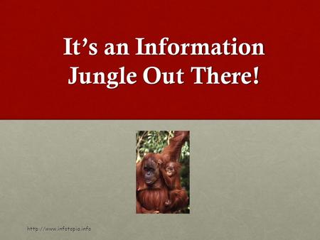 It’s an Information Jungle Out There!