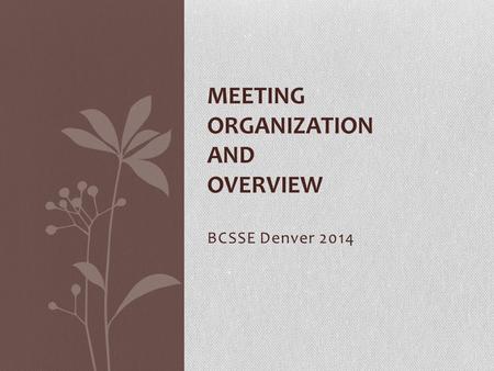 BCSSE Denver 2014 MEETING ORGANIZATION AND OVERVIEW.