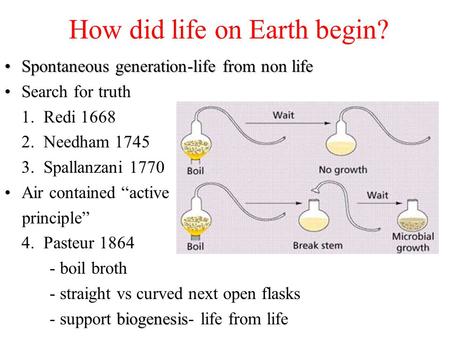 How did life on Earth begin? Spontaneous generation-life from non lifeSpontaneous generation-life from non life Search for truth 1. Redi 1668 2. Needham.
