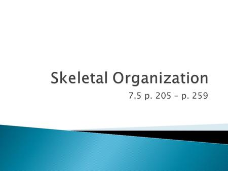 Skeletal Organization