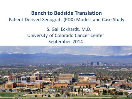 Bench to Bedside Translation Patient Derived Xenograft (PDX) Models and Case Study S. S. Gail Eckhardt, M.D. University of Colorado Cancer Center September.