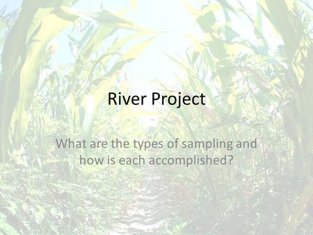 River Project What are the types of sampling and how is each accomplished?