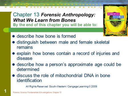 Chapter 13 Forensic Anthropology: What We Learn from Bones By the end of this chapter you will be able to: describe how bone is formed distinguish.